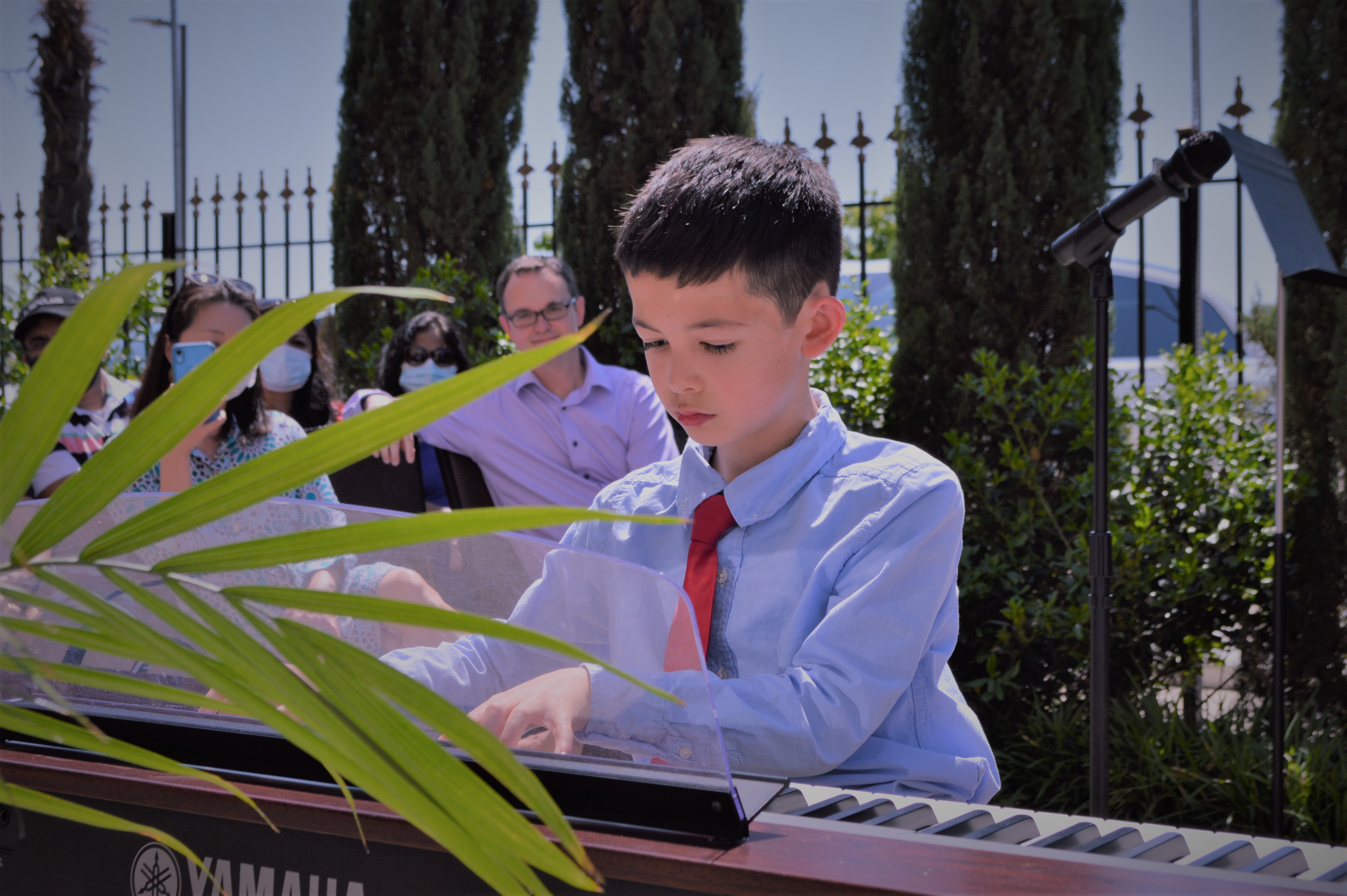 Edelweiss School of Music logo